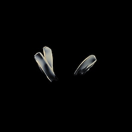 Essence Absolue - Baume universel 